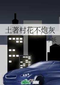 �����廨���ڻ�