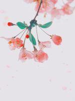 ������ũŮ