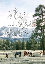 ������������Ϣ