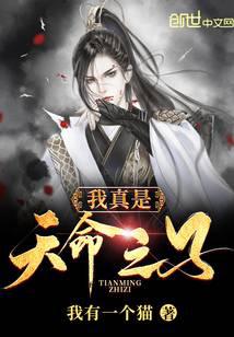 ����������֮��