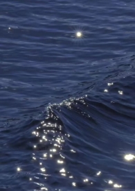 һ��׹��[ǿȡ����]