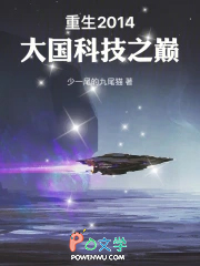 重生2014：大国科技之巅