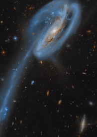 ��������ֻ������