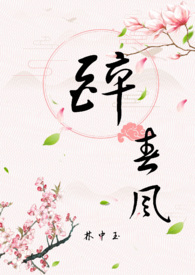 �����磨1V1��