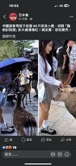 ���飺�Ӻ�̨��ͬ�ӿ�ʼ