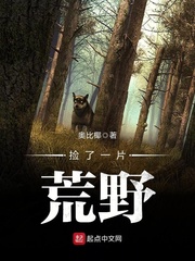 ����һƬ��Ұ