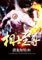 ��ʿ����