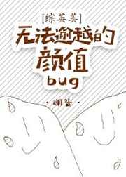 [��Ӣ��]�޷���Խ����ֵbug