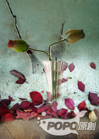 ���ɰ�ҹ������