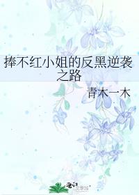 ������С��ķ�����Ϯ֮·