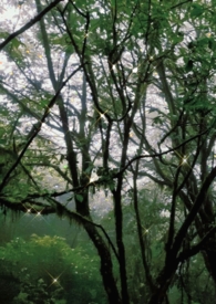 ����ĳ����У԰���е���