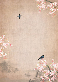 ������˵-���㹬