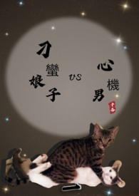 ��������vs�Ļ���