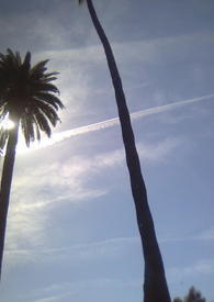 �������ë