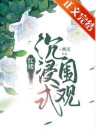 ��¥����ʽΧ��