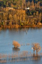 �����ļ�