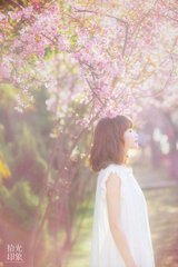 ������Ե�����