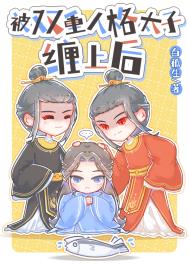 ��˫���˸�̫�Ӳ��Ϻ�